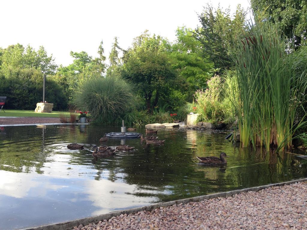 Solrosen I Simrishamn - Oesterlen Exteriér fotografie